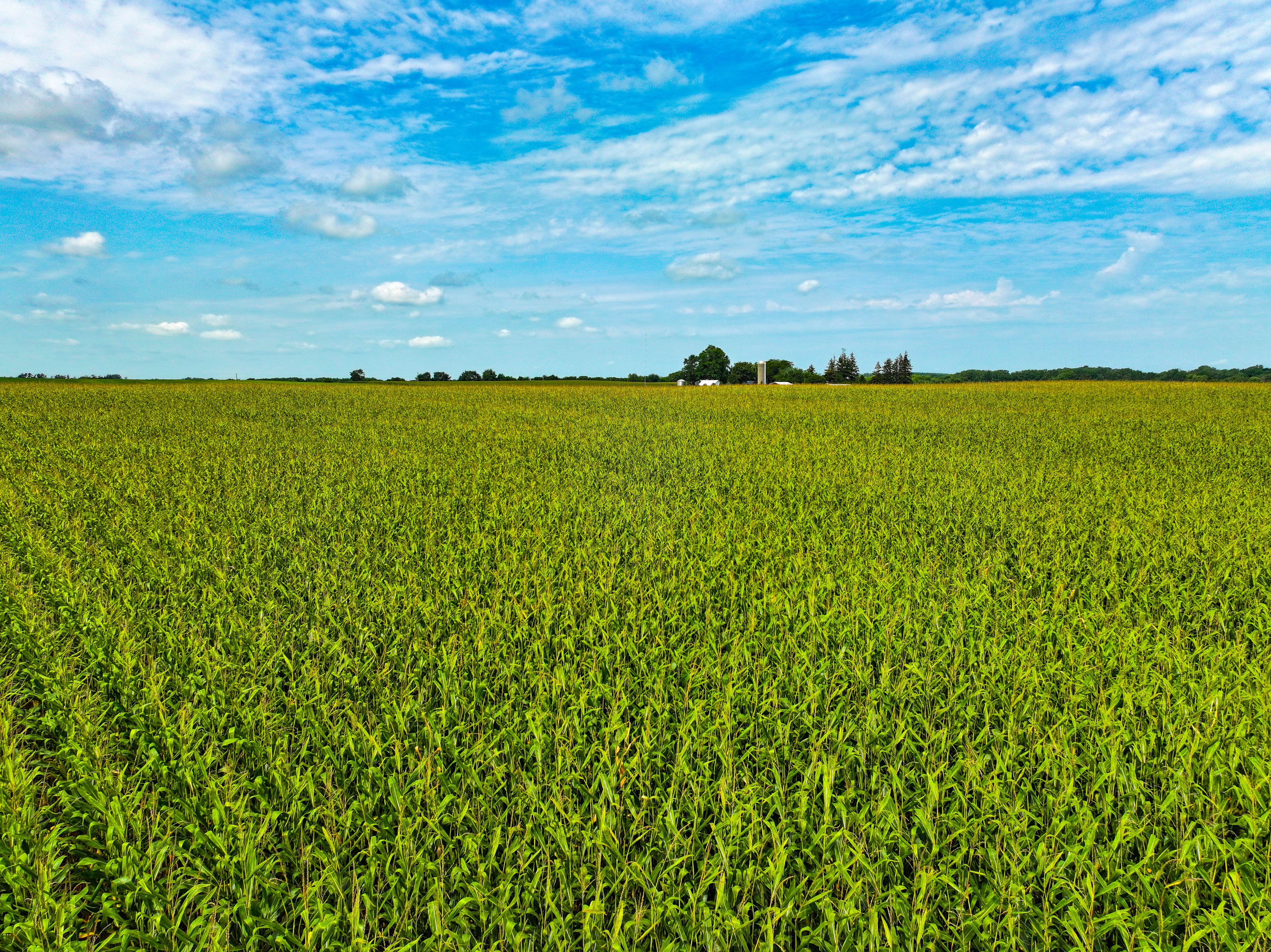 Listing Photo: 05_Buchanan County Iowa Farmland For Sale